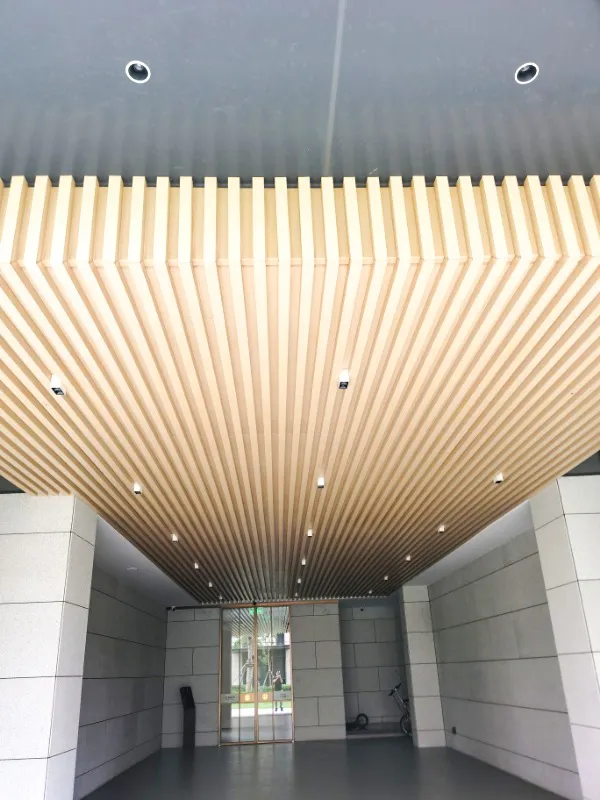 Yunhai Wuxiang (Hainan Eco-Smart New City) - 8